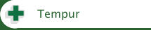 Tempur