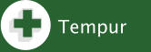 Tempur